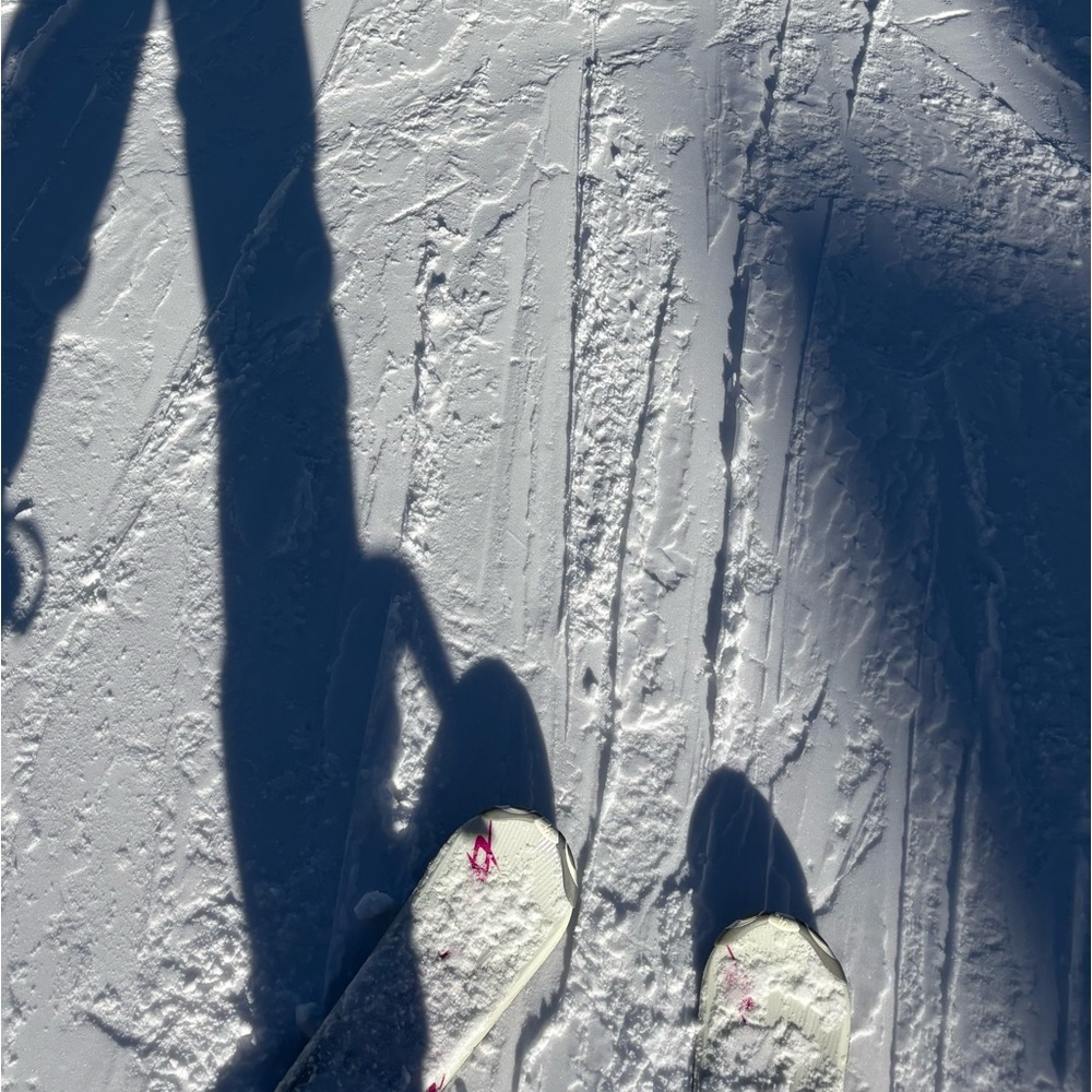 Meet your Posher, Karleigh